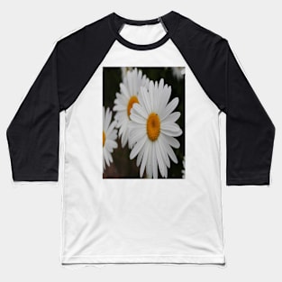 Daisies Photo Baseball T-Shirt